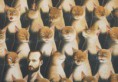 /album/tomas-cepek/tomas-jpg/